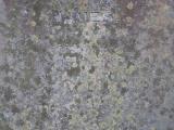 image of grave number 291743